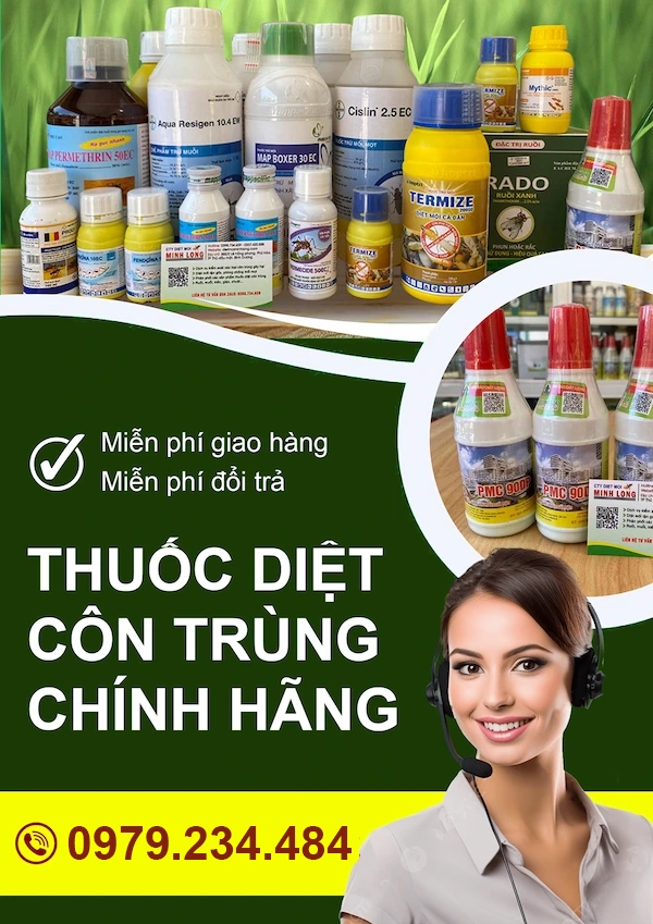 Diệt côn trùng Dương Huy