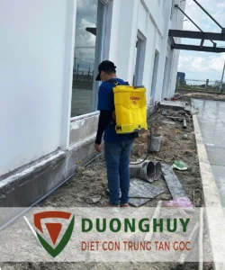 Diệt côn trùng Dương Huy