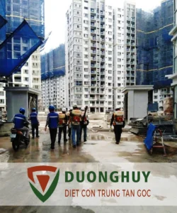 Diệt côn trùng Dương Huy