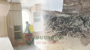 Diệt Mối Tận Gốc