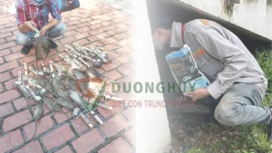 Dịch vụ Diệt Chuột Dương Huy