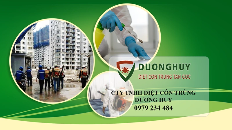 Diệt côn trùng Dương Huy