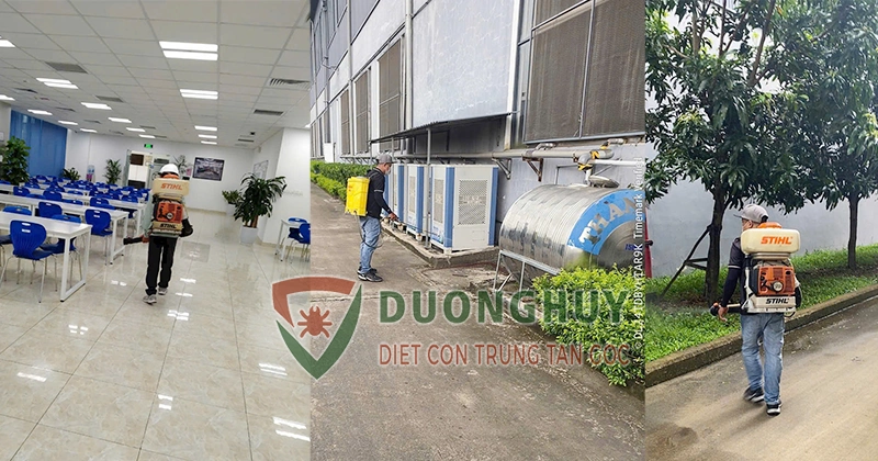 Diet Moi | Diet Con trung tan goc