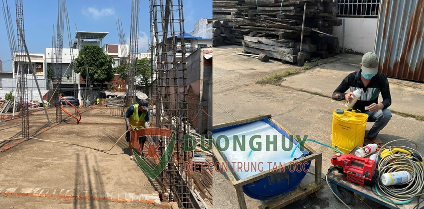 Diệt Mối tận Gốc, hiệu quả Bình Dương
